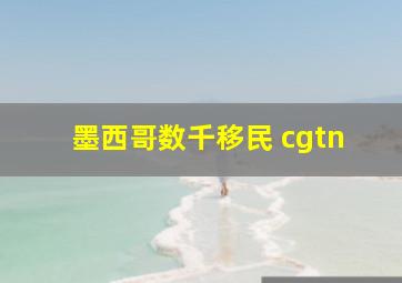 墨西哥数千移民 cgtn